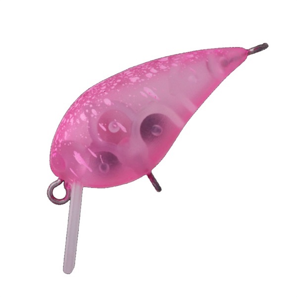 ＭＩＮＩ　ＫＵＲＡ　Ｆ